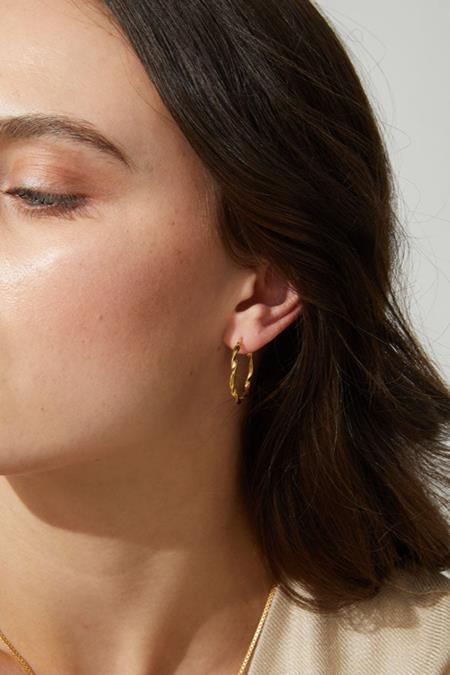 Earrings Elegant Hoop Gold