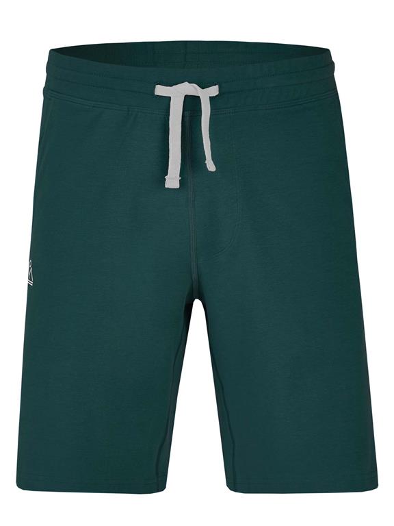 Classic Shorts Green 1