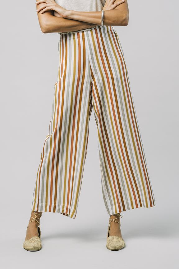 Pants Earthy Stripes 1