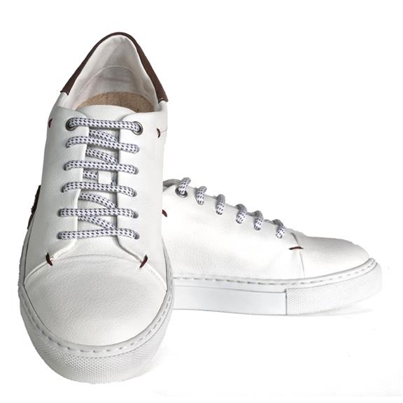 Sneakers Sammy White Taupe 1