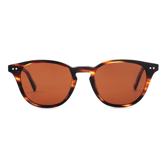 Costa Tortoise Sunglasses 1