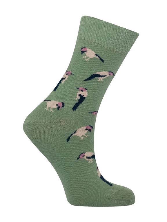 Socks Birds Sage 1