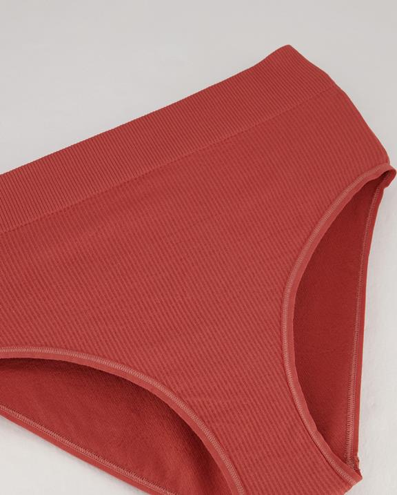 High Cut Slip Seamless Ribbed Ruby Rebel Faded Red 6