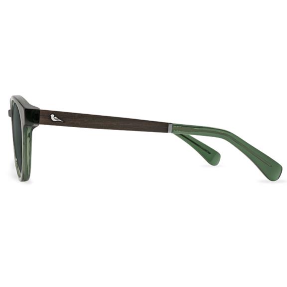 Sunglasses Kaka Olive 8