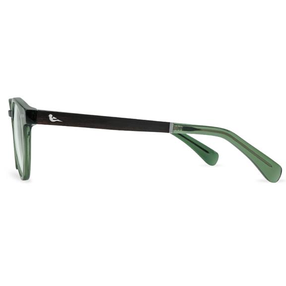 Sunglasses Tawny Olive (Small) 9