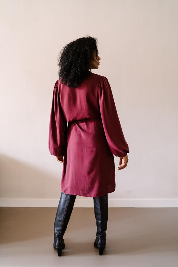 Dress Ruby Burgundy Red 3
