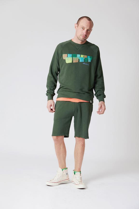 Flip Shorts Green 1