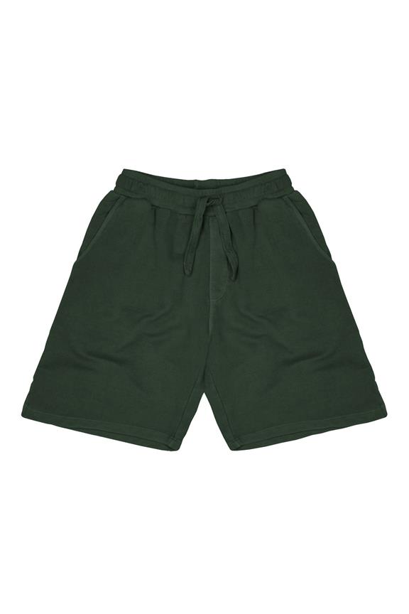 Flip Shorts Green 2