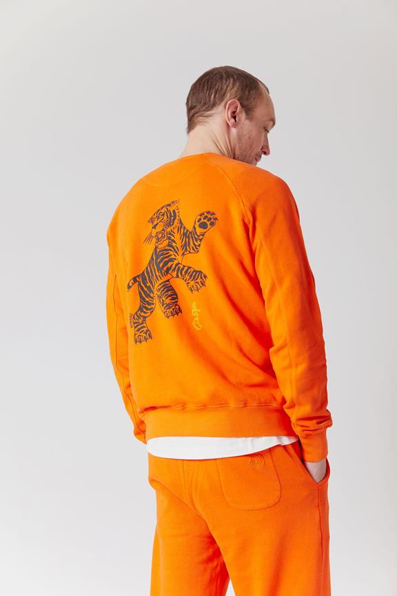 Tiger Pounce Sweatshirt Orange 2