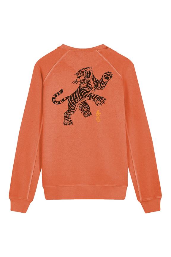 Tiger Pounce Sweatshirt Oranje 4