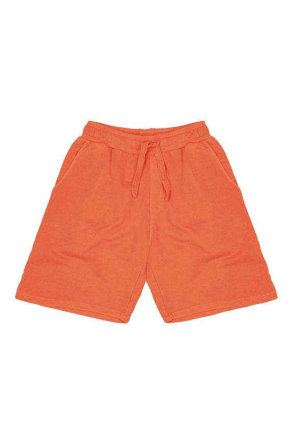 Flip Shorts Orange 2