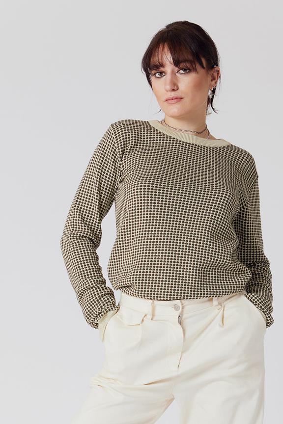 Hana Sweater Turtle 1