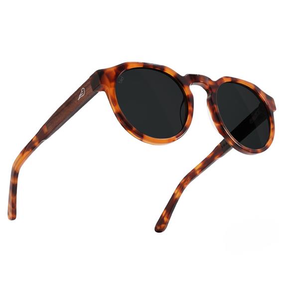 Suma Sunglasses Fire Coral 1
