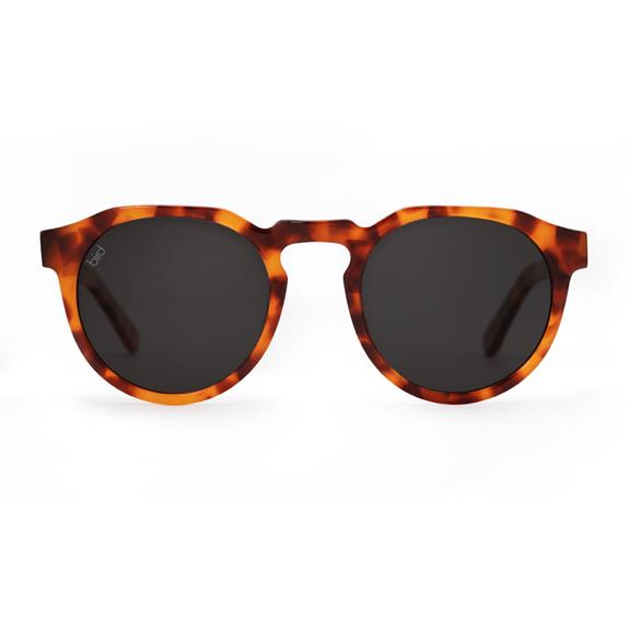 Suma Sunglasses Fire Coral 2
