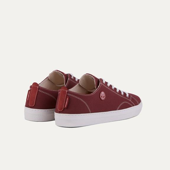 Sneakers Life Red 2