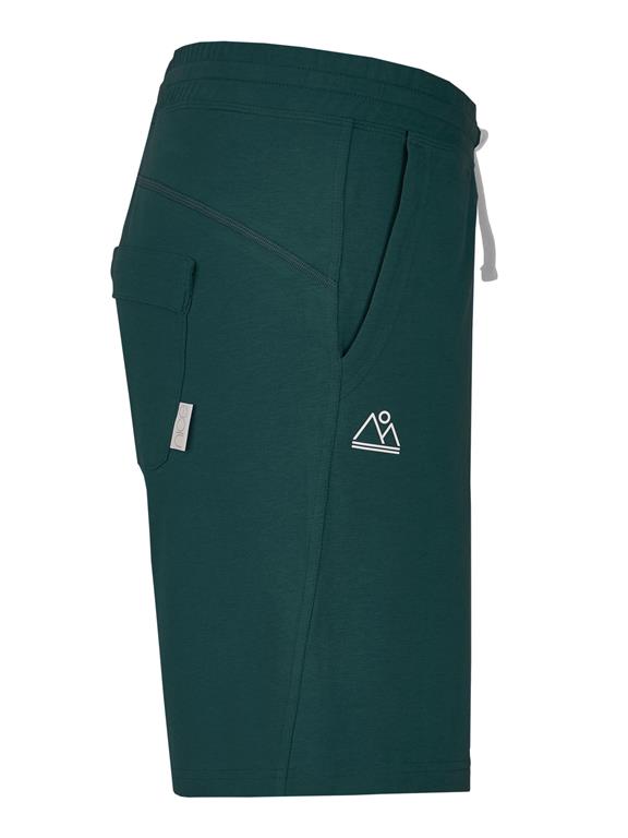 Classic Shorts Green 4