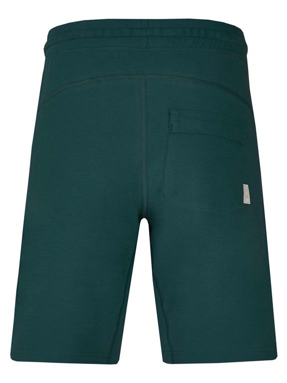 Classic Shorts Green 5