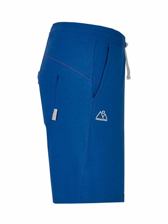 Classic Shorts Blue 3