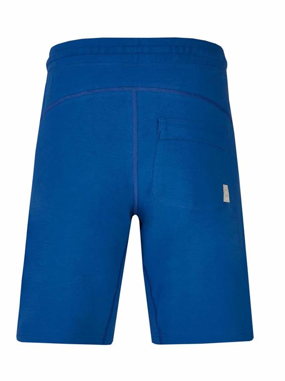 Classic Shorts Blue 4