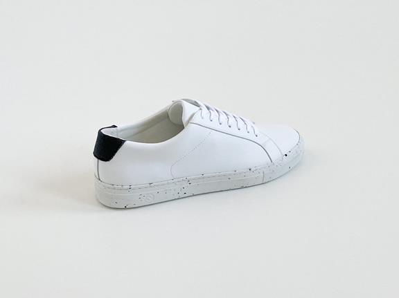 Sneaker Tide V2 White 3