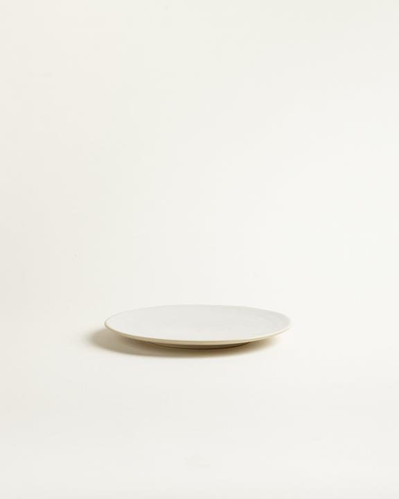 Small Plate White 2