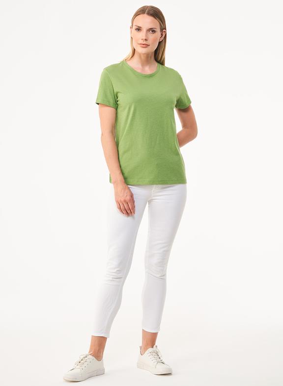Product_ProductPropertyID_1186 Product_ProductPropertyID_1186