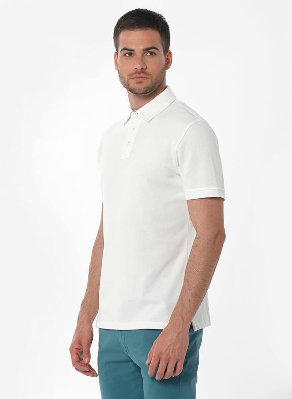 Organic Cotton Polo Shirt 3