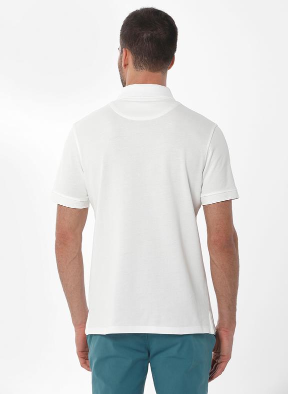 Organic Cotton Polo Shirt 4