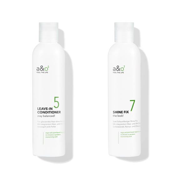 Leave-In Conditioner & Shine Fix Hair Set 1