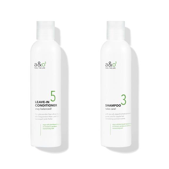 Leave-In Conditioner & Moisturizing Shampoo Set 1