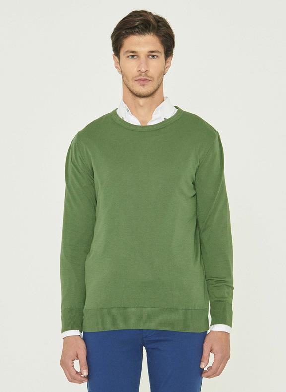Pullover Grün 1