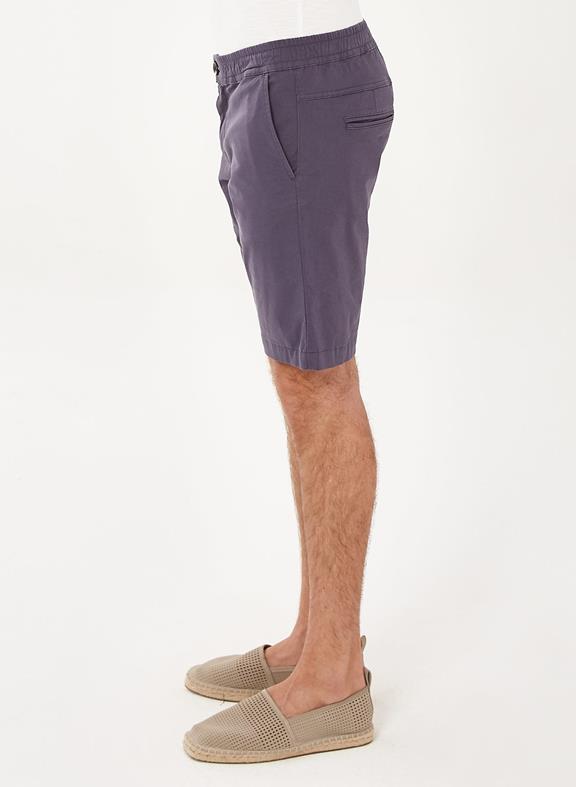 Chino Shorts Purple Gray 3
