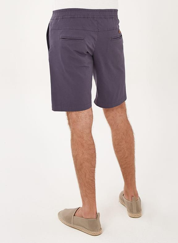 Chino Shorts Purple Gray 4