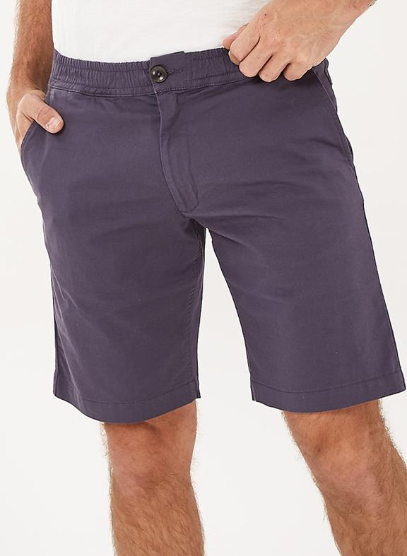 Chino Shorts Purple Gray 5