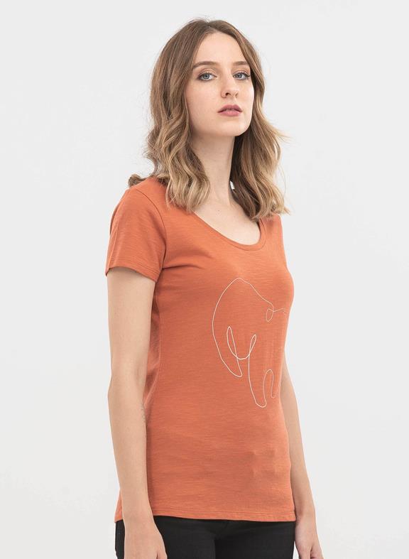 T-Shirt Aus Bio-Baumwolle Mit Aufdruck Orange 2