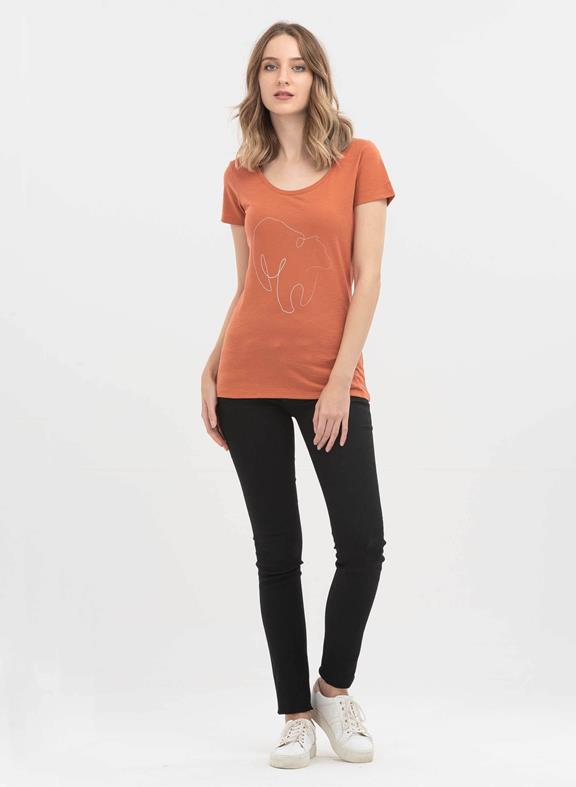 T-Shirt Aus Bio-Baumwolle Mit Aufdruck Orange 3