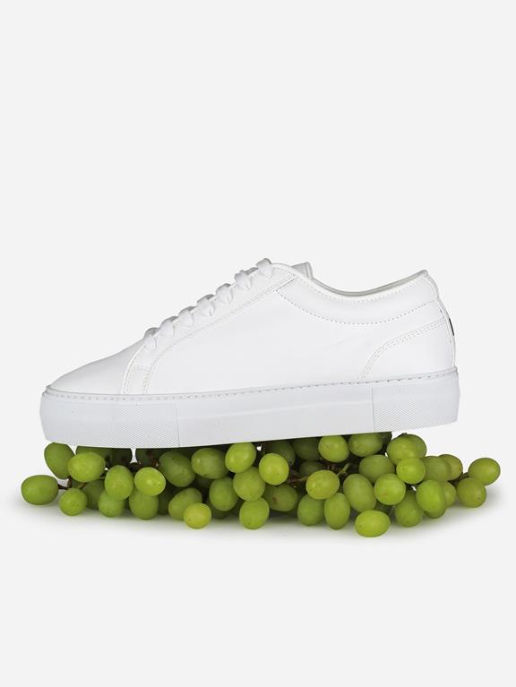 Sneakers Grape Essential Klassisch Weiß 4
