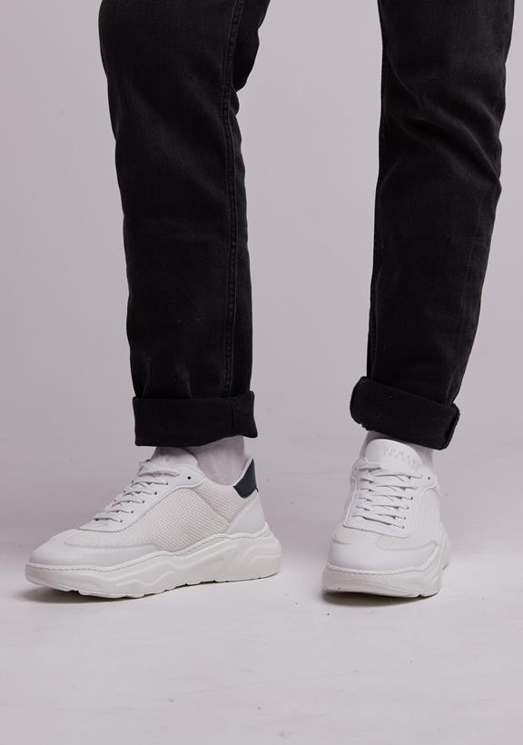 Sneaker Evolve White 1