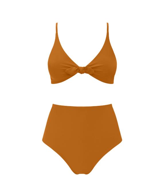 Leona + Core High Bikini Rust 1