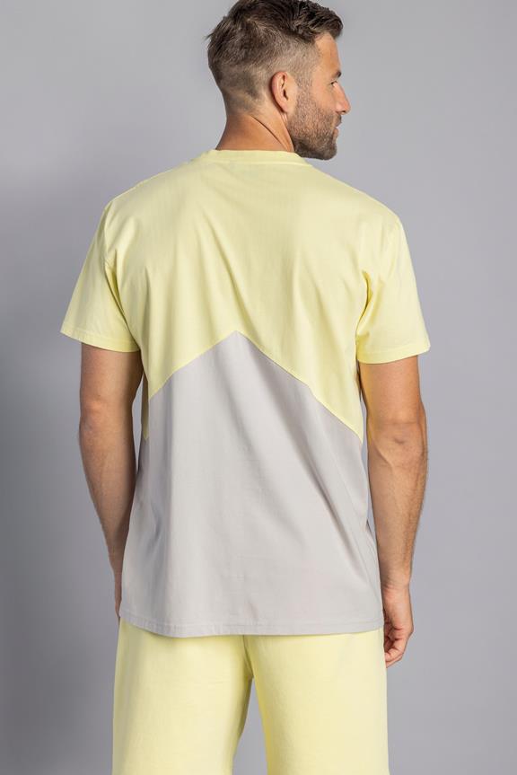 Zig Zag T-Shirt Standard Geel/Grijs 7