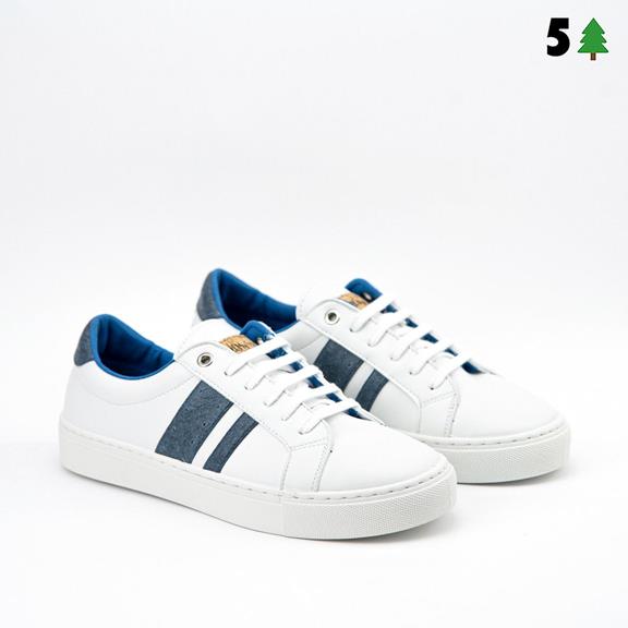 Sneakers Ames Blue Stripe 3