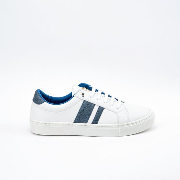 Sneakers Ames Blue Stripe 4