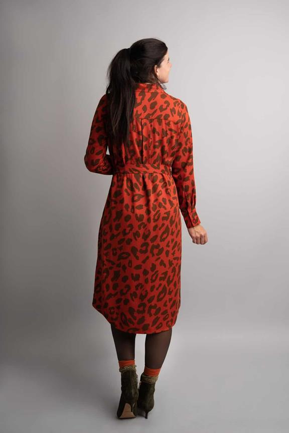 Blackbird Red Leopard Dress 4