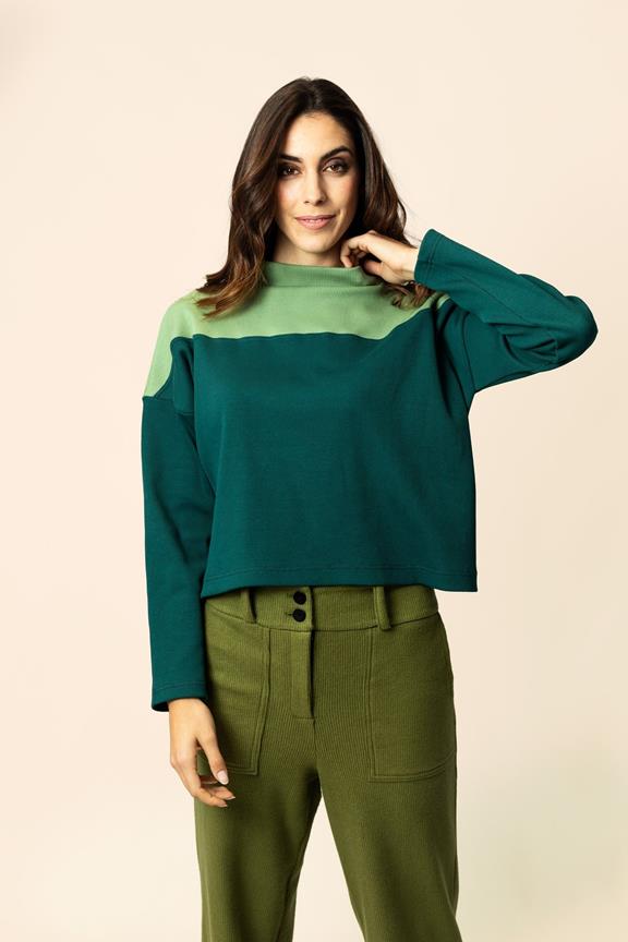 Amazon Pullover Grün 1