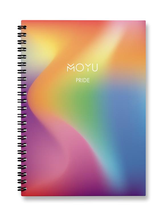 Notebook Rainbow Limited Edition 2