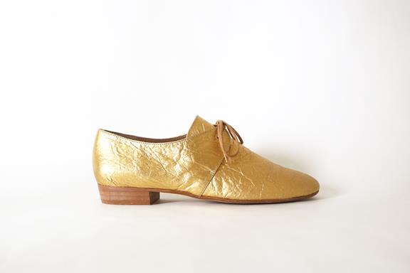 Shoes Tapir Golden 2