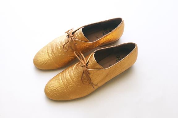 Shoes Tapir Golden 5