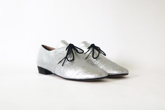Schuhe Tapir Silber 1