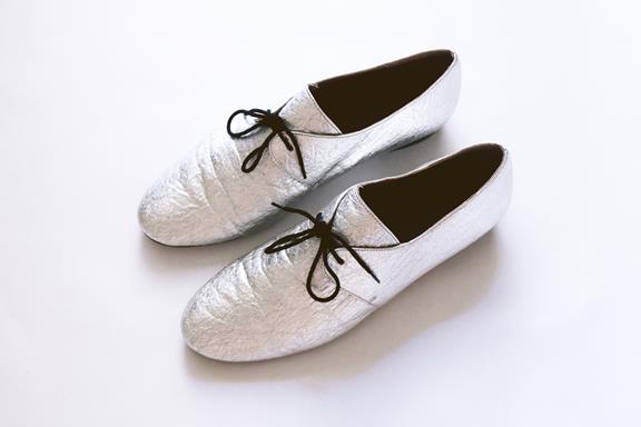 Shoes Tapir Silver 5