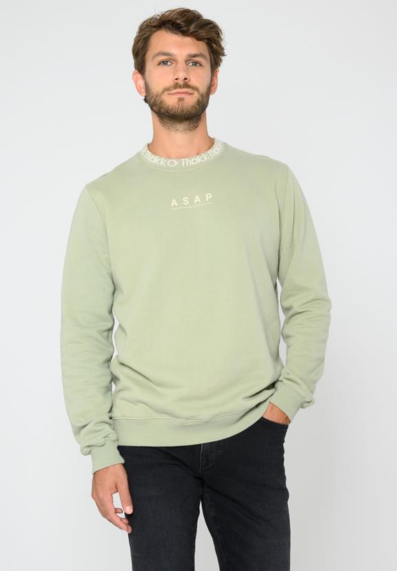 Sweater Asap Desert Sage 1